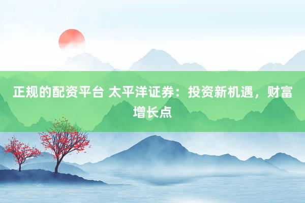 正规的配资平台 太平洋证券:投资新机遇,财富增长点