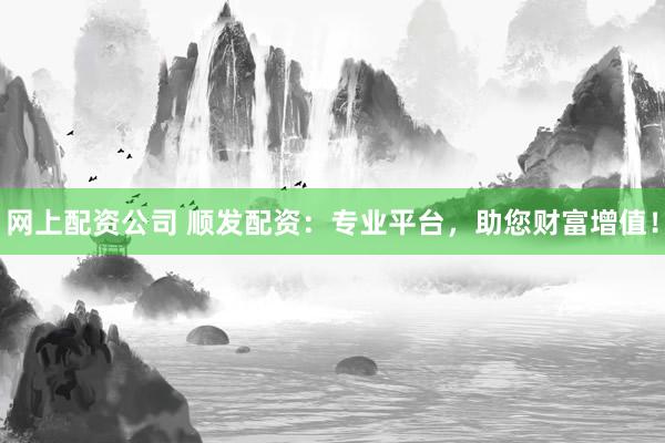 网上配资公司 顺发配资：专业平台，助您财富增值！