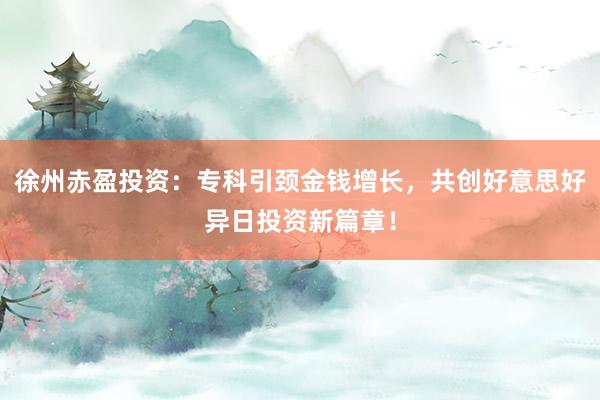 徐州赤盈投资：专科引颈金钱增长，共创好意思好异日投资新篇章！