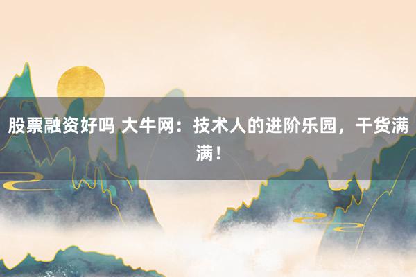 股票融资好吗 大牛网：技术人的进阶乐园，干货满满！