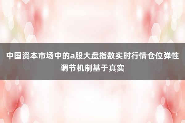 中国资本市场中的a股大盘指数实时行情仓位弹性调节机制基于真实