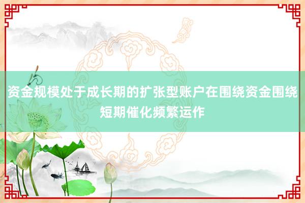 资金规模处于成长期的扩张型账户在围绕资金围绕短期催化频繁运作