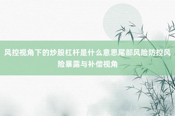 风控视角下的炒股杠杆是什么意思尾部风险防控风险暴露与补偿视角