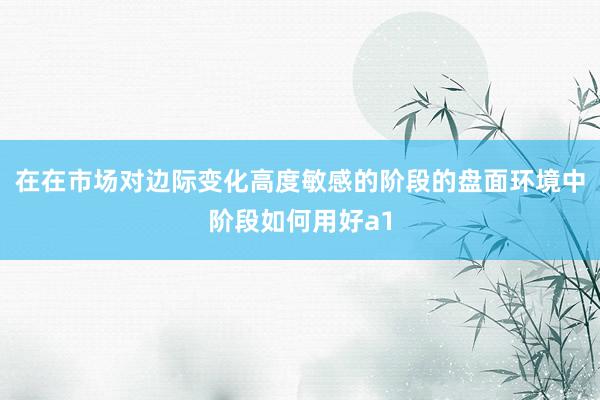在在市场对边际变化高度敏感的阶段的盘面环境中阶段如何用好a1