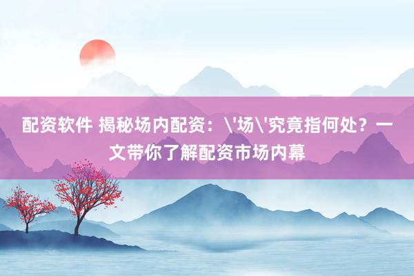 配资软件 揭秘场内配资：'场'究竟指何处？一文带你了解配资市场内幕