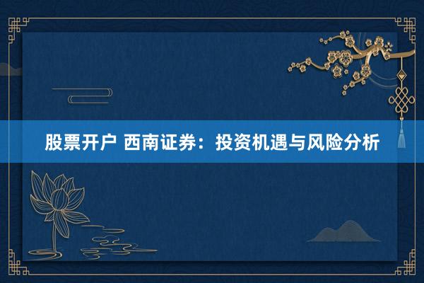 股票开户 西南证券：投资机遇与风险分析