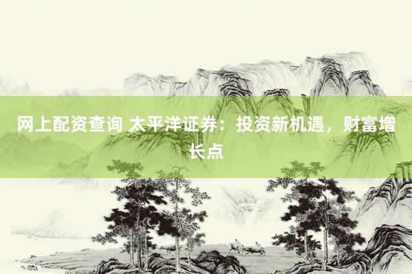 网上配资查询 太平洋证券：投资新机遇，财富增长点