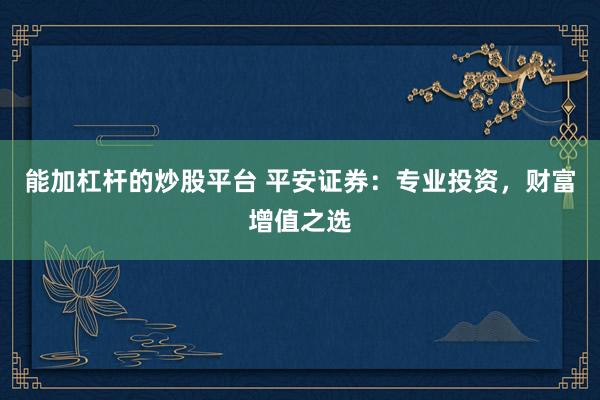 能加杠杆的炒股平台 平安证券：专业投资，财富增值之选