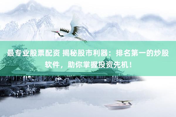 最专业股票配资 揭秘股市利器：排名第一的炒股软件，助你掌握投资先机！
