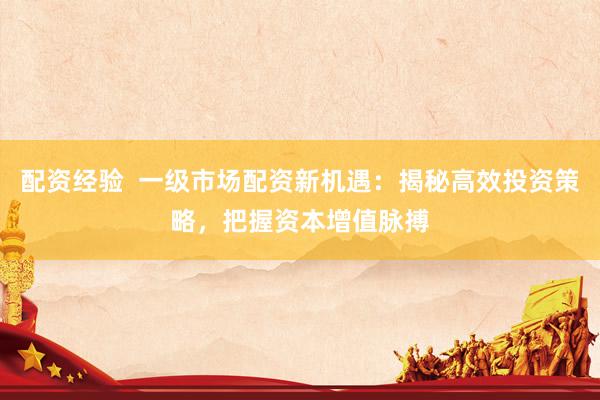 配资经验  一级市场配资新机遇：揭秘高效投资策略，把握资本增值脉搏