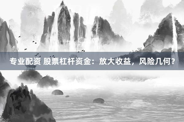 专业配资 股票杠杆资金：放大收益，风险几何？