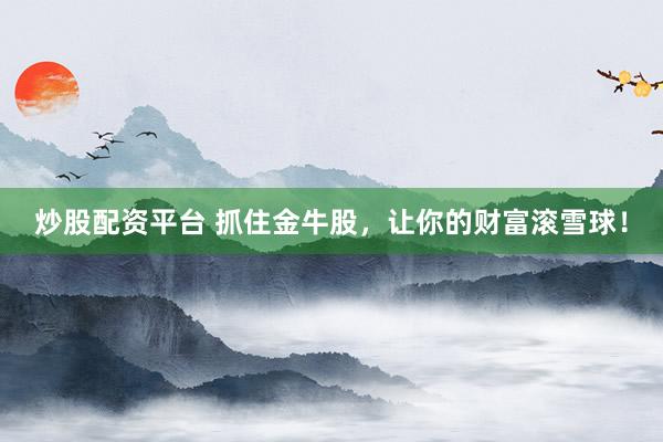 炒股配资平台 抓住金牛股,让你的财富滚雪球!