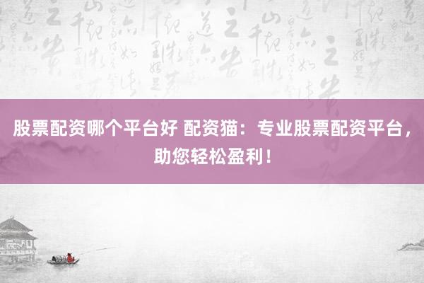 股票配资哪个平台好 配资猫：专业股票配资平台，助您轻松盈利！